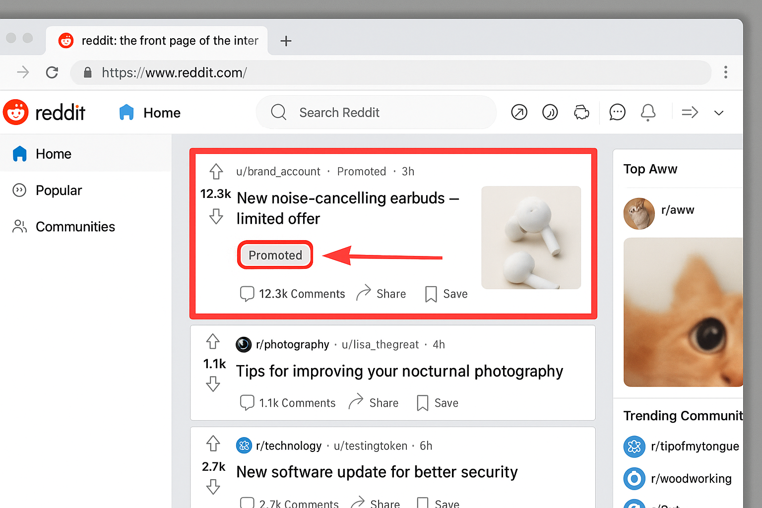 Desktop Reddit home feed screenshot showing a post labeled 'Promoted'. A single red rectangle highlights the promoted post area and a single red arrow points to the gray 'Promoted' pill next to the poster metadata, illustrating where to target blockers for promoted posts.